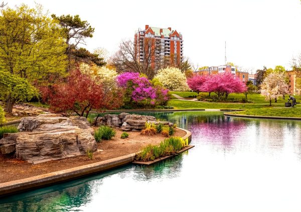 Noah American Games 1000 Piece Puzzle Cardboard Intermediate-1